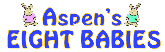 aspenlogo1 (16K)